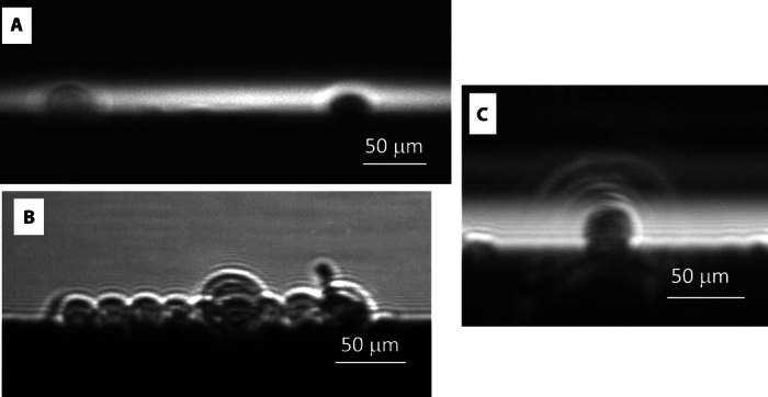 Fig. 13