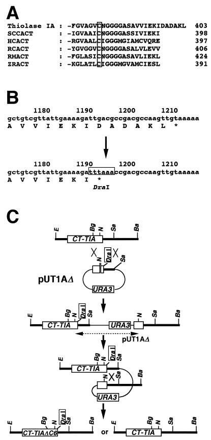 FIG. 6