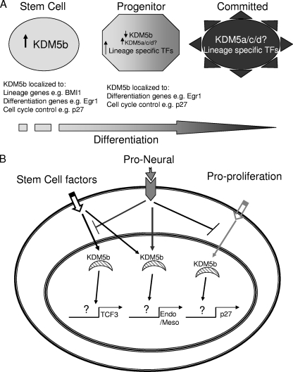 FIG. 8.