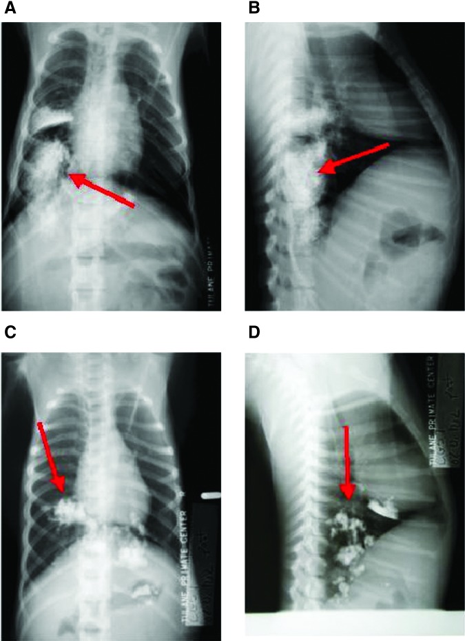 FIG. 3.