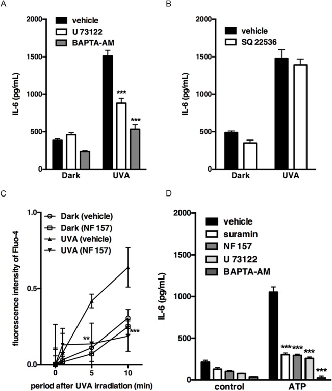 Fig 6