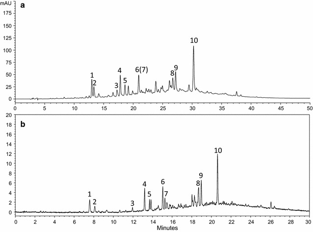 Fig. 2