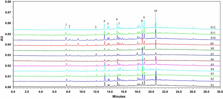 Fig. 3