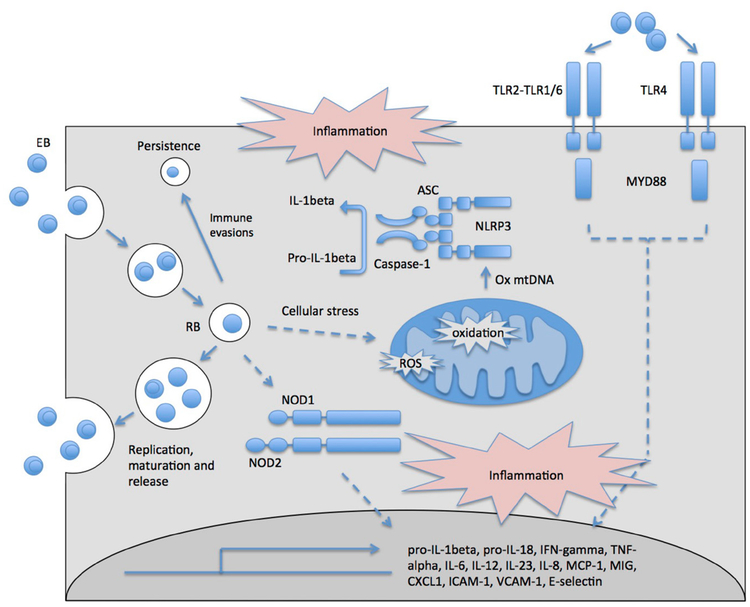 FIG. 2: