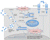 FIG. 2: