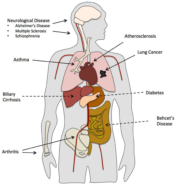 FIG. 1: