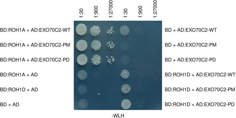 FIGURE 7