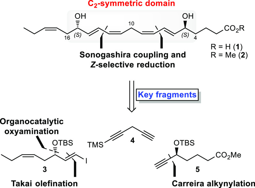 Scheme 2