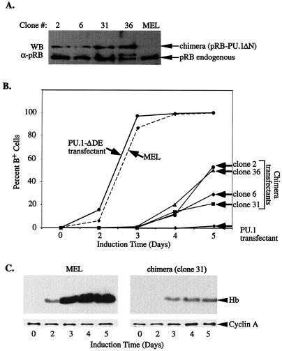 FIG. 9.