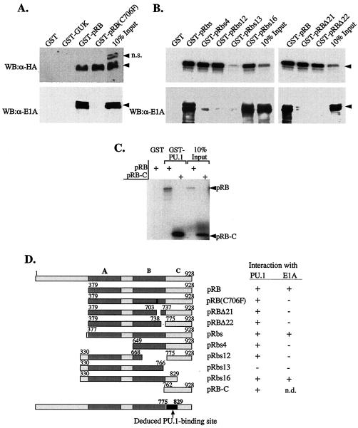 FIG. 5.