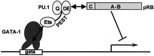 FIG. 10.