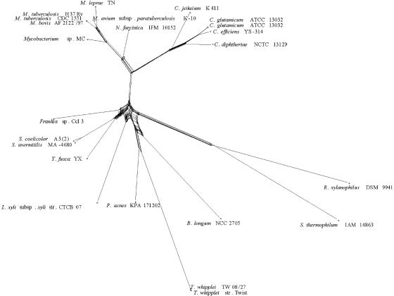 FIG. 14.