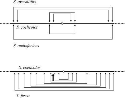 FIG. 11.