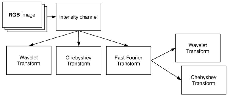 Fig. 2