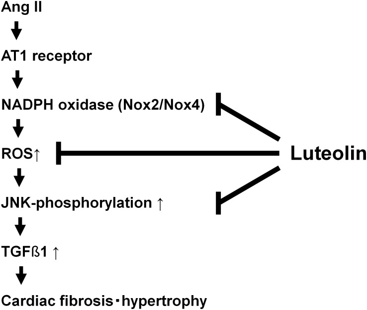 Fig 5