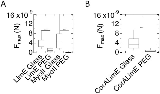 Fig 10