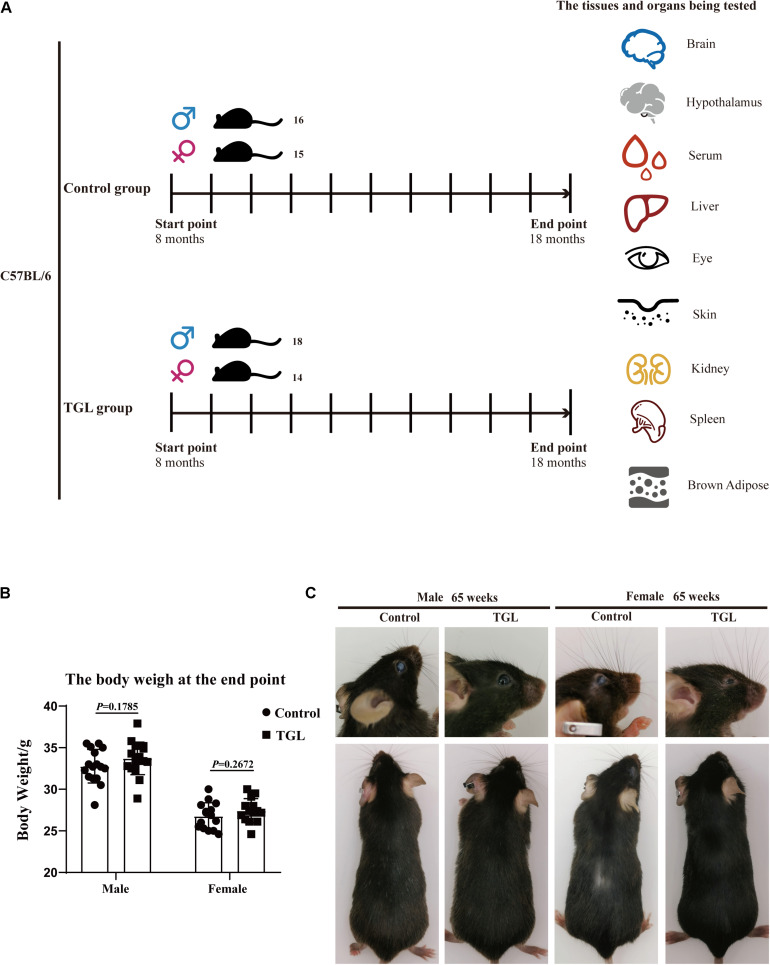 FIGURE 1