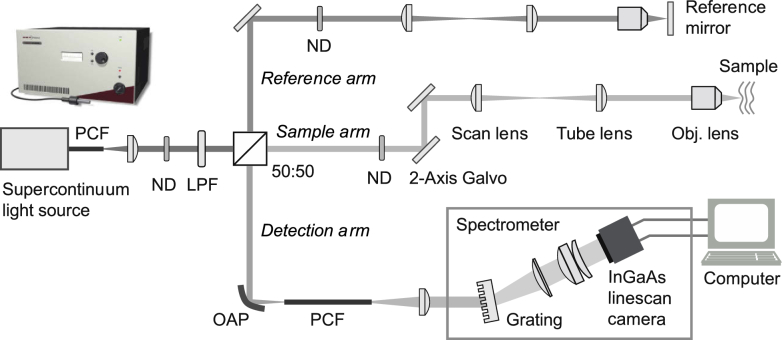 Fig. 1.