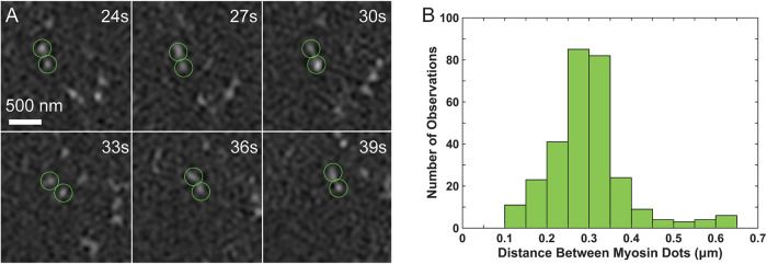 FIGURE 6: