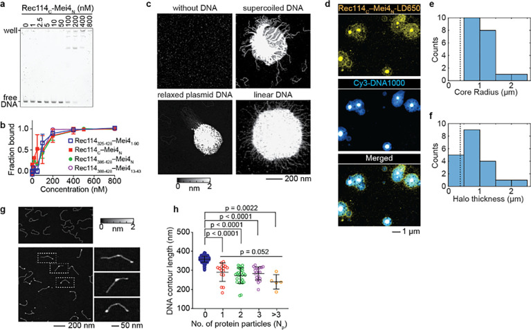 Fig. 4: