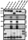 FIG. 5.