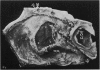 238-2