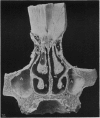 242-3