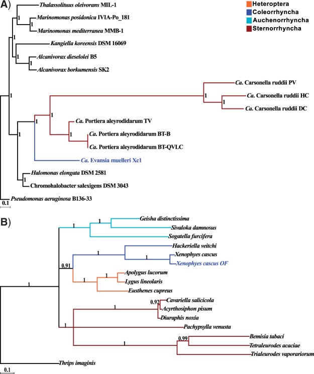 Fig. 4.—