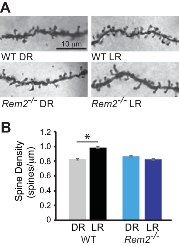 Figure 2—figure supplement 2.