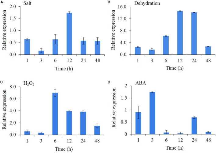 FIGURE 2