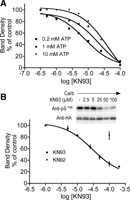 Fig. 9.