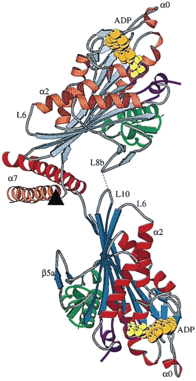 Fig 4