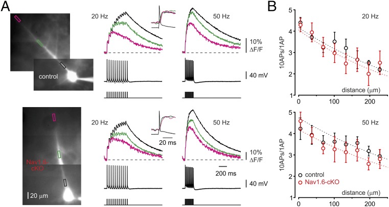 Fig. 7.