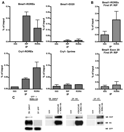 Figure 6.