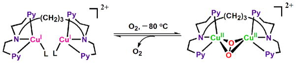 Scheme 5