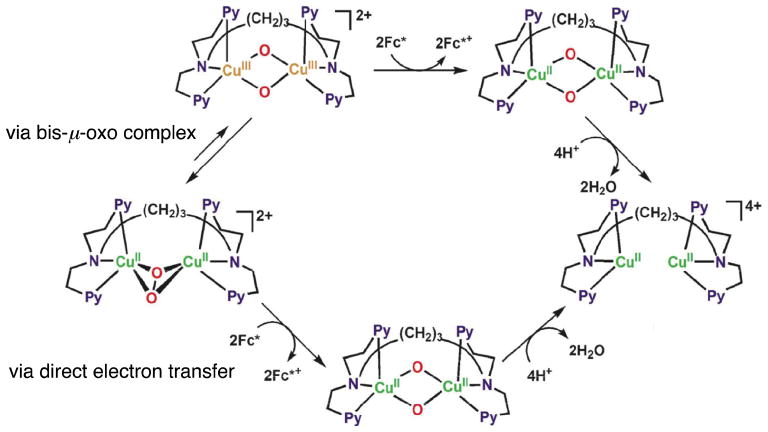 Scheme 6