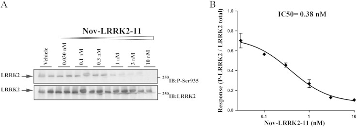 Fig. 7