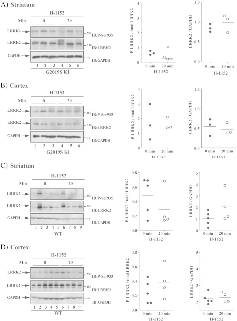 Fig. 6