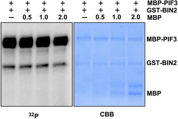 Fig. S6.