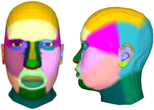 Fig. 1