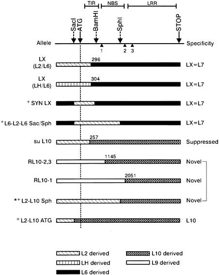 Figure 1.