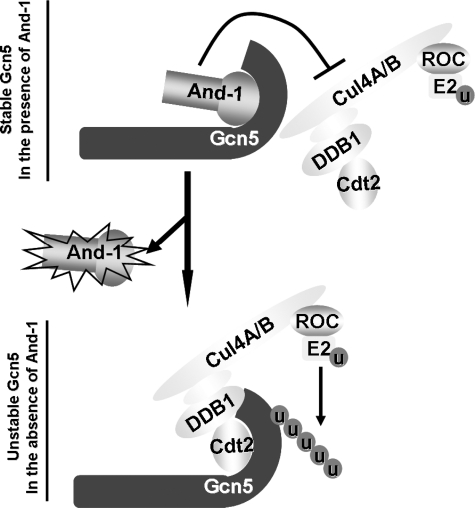 FIGURE 7.