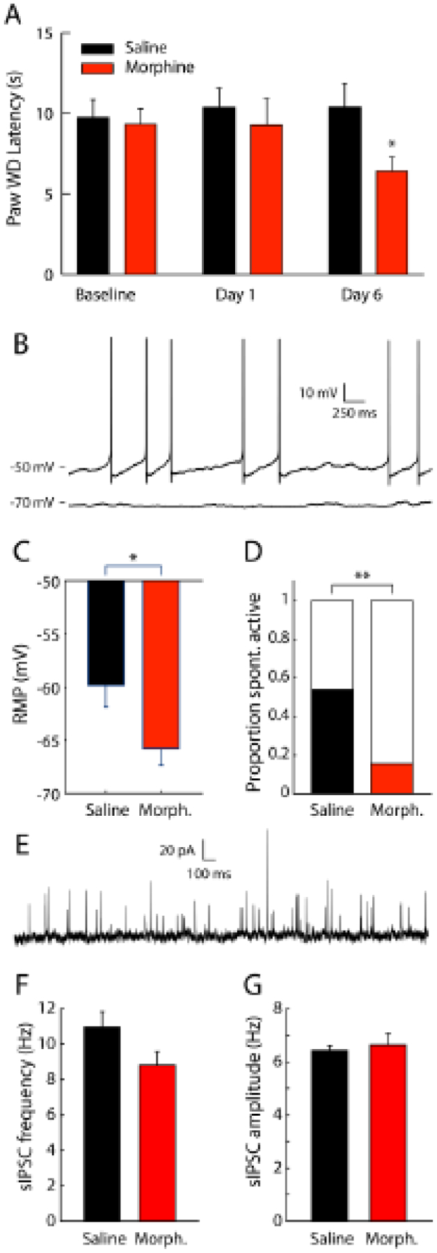 Figure 2 –