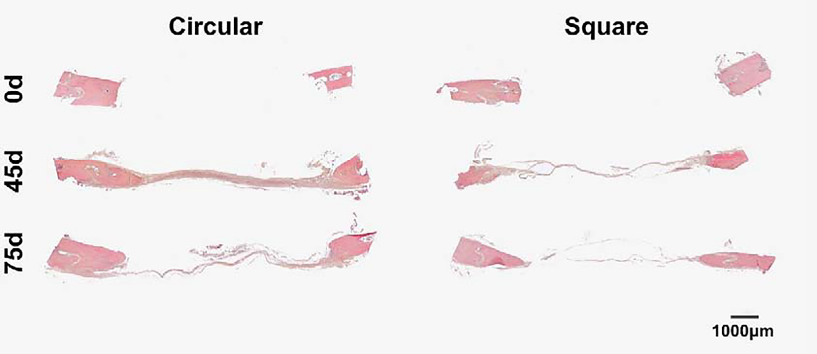 Fig. 6: