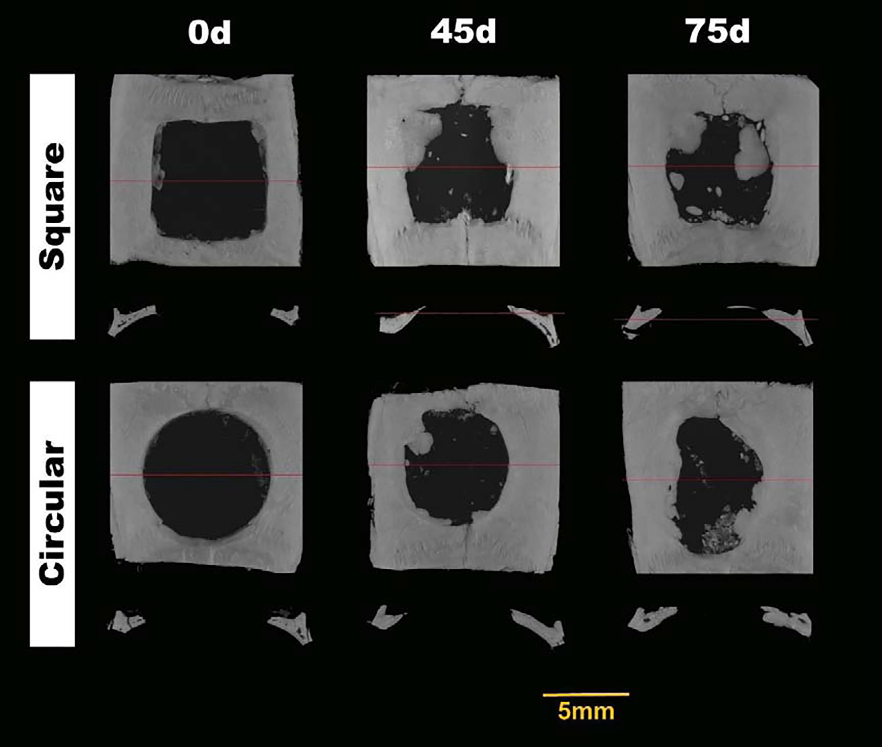 Fig. 3: