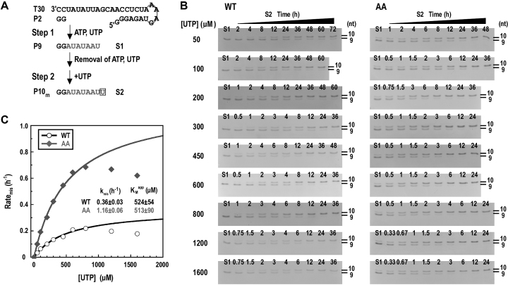 Figure 6.