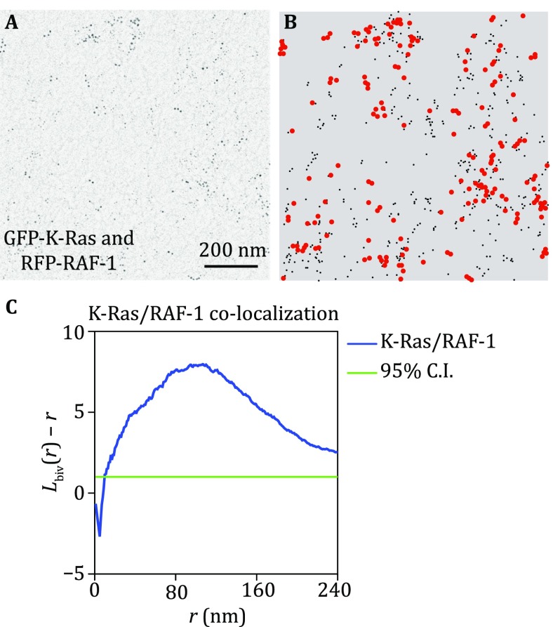 Fig. 2