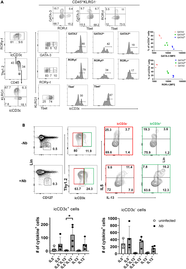 Figure 6