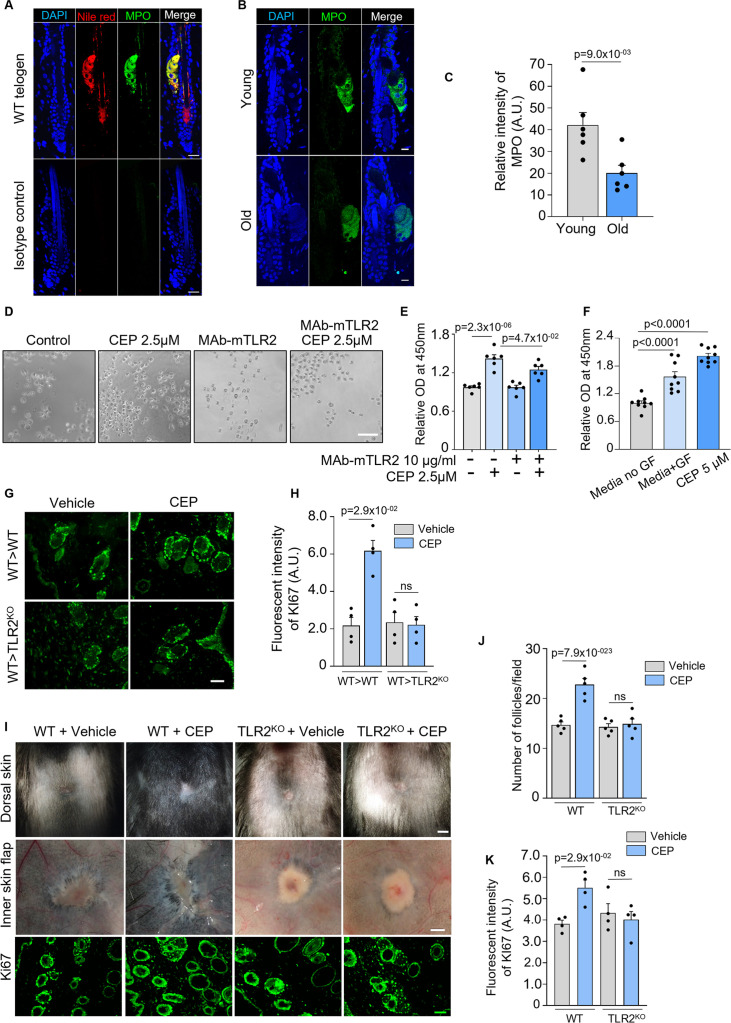 Figure 6—figure supplement 1.