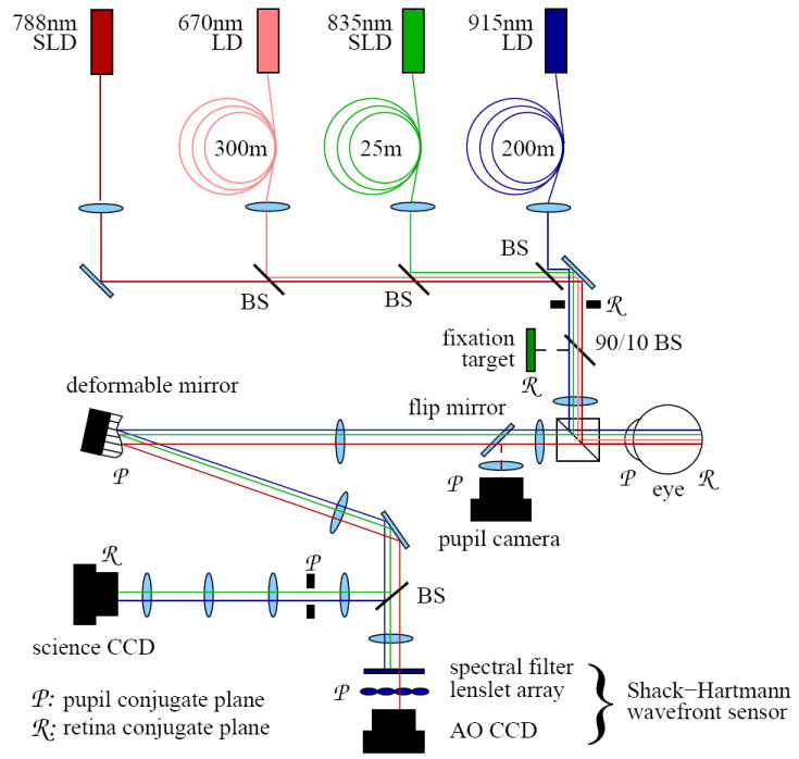 Fig. 1